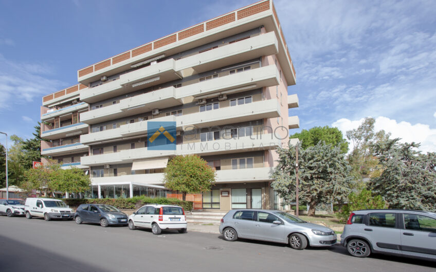 Zona Piazza del Papa