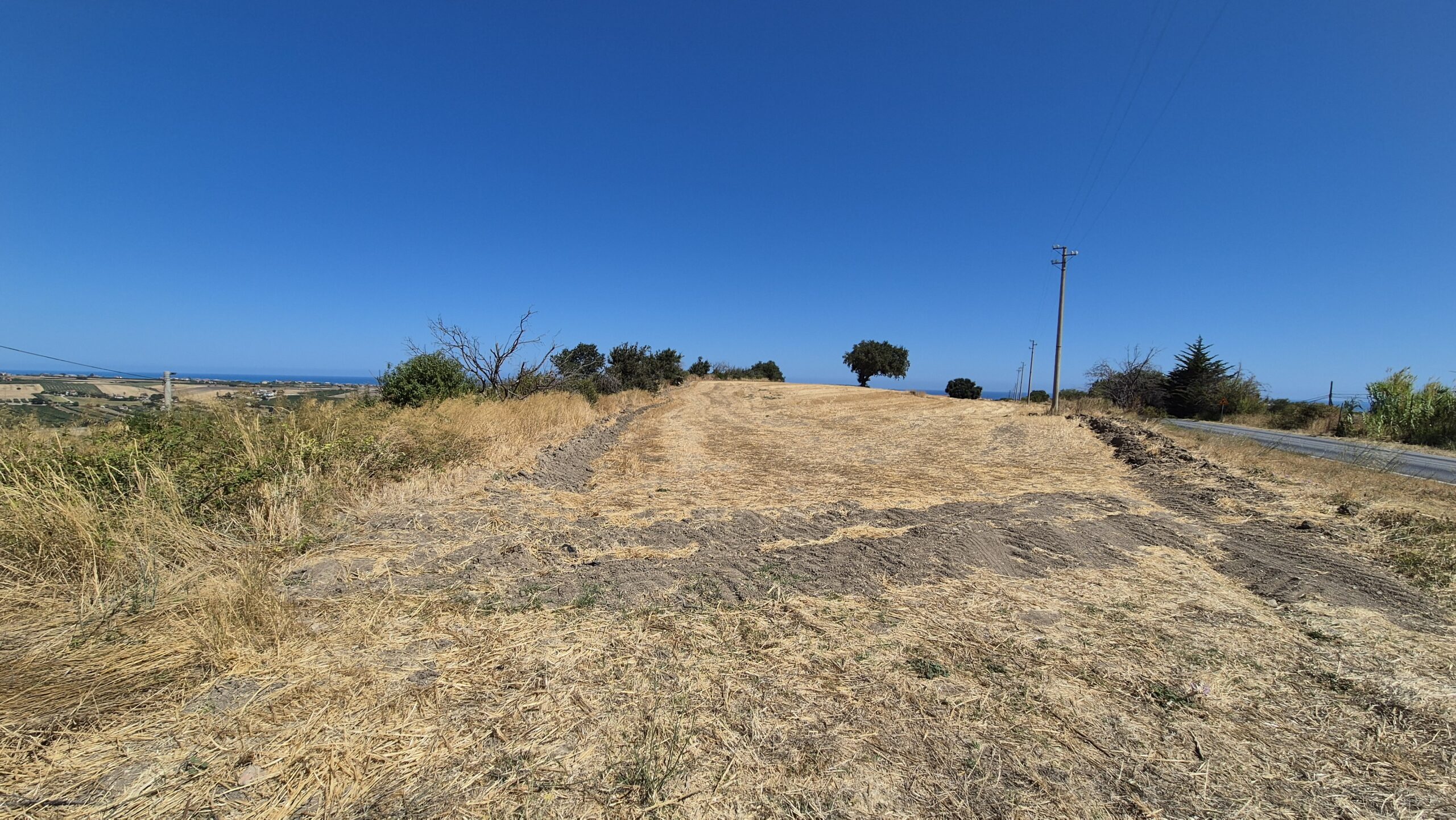 Terreno Agricolo